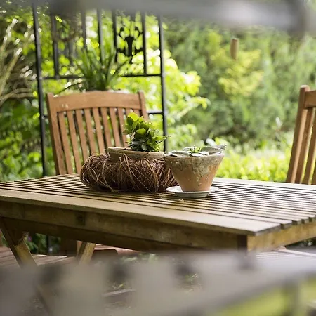 Siegfried Hotel Bad Steben